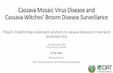 Cassava Mosaic Virus Disease and Cassava Witches’ Broom ...