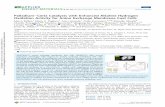 Palladium–Ceria Catalysts with Enhanced Alkaline Hydrogen ...