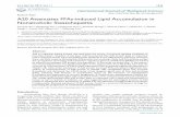 Research Paper A20 Attenuates FFAs-induced Lipid ...