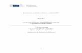 EUROPEAN COMMISSION - Nuclear safety and security
