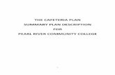 FSA Summary Plan Description