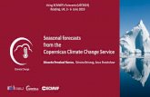 Seasonal forecasts from the Copernicus Climate Change Service