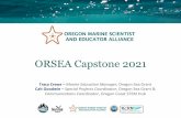 ORSEA Capstone 2021