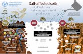 GSP GSSAS21 Saline Soils Poster EN 004