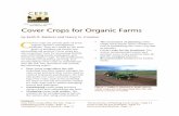 Cover Crops for Organic Farms - NCSU