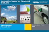 Innovative Topics for Advanced Biofuels - Energy