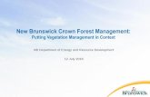 New Brunswick Crown Forest Management