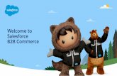B2B Commerce Salesforce Welcome to