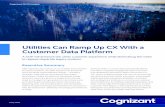 Utilities Can Ramp Up CX with a Customer Data Platform