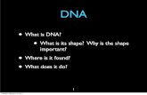 DNA - sjsu.edu