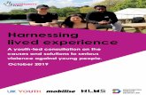 Harnessing lived experience