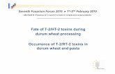 B2-semouliers-T2+HT2 reduction and occurence in durum wheat