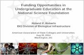 Funding Opportunities in Undergraduate Education at the ...