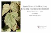 Spider Mites on Red Raspberry - Revisiting Miticides and ...