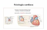fisiologia cardiaca - Infermieristica