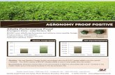drugoon alfalfa - QLF Agronomy