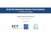 ATLAS Tile Calorimeter Detector Control Systems