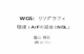 WG5: リソグラフィ - JEITA