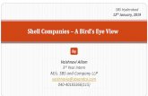 Shell Companies A Bird’s Eye View