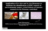 Application of in vitro and in vivo bioassays to ...