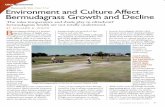 Environment and Culture Affect BermudagrassGrowth and Decline