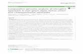 Comparative genomic analysis of retrogene repertoire in ...