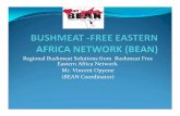 Regional Bushmeat Solutions from Bushmeat Free Eastern ...