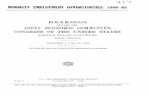 MINORITY EMPLOYMENT OPPORTUNITIES: 1980-85
