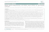 RESEARCH ARTICLE Open Access Role and expression of FRS2 ...