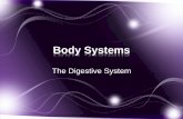 Body Systems - Mr. Hebert