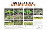 WEED OUT RESISTANCE - Take Action