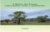 Climas do Piauí: interações com o ambiente