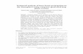 Temporal analysis of laser beam propagation in the ...