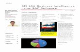 BIS 656 Business Intelligence using SAP Software