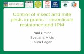 Control of insect and mite pests in grains – insecticide ...