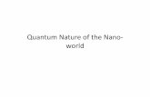 Quantum Nature of the Nano‐