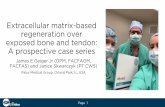Extracellular matrix-based regeneration over exposed bone ...