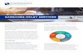 SARBANES-OXLEY SERVICES
