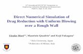 Direct Numerical Simulation of Drag Reduction with Uniform ...
