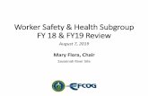 Worker Safety & Health Subgroup FY 18 & FY19 Review