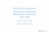 RADY 410 Case Presentation: Uterine Artery Arteriovenous ...