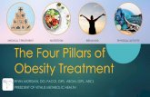 The Four Pillars of Obesity Treatment