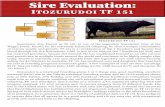 Sire Evaluation