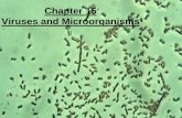 Chapter 15 Viruses and Microorganisms