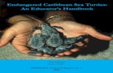 Endangered Caribbean Sea Turtles: An Educator’s Handbook