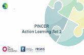 PINCER Action Learning Set 2 - Amazon Web Services