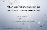ASEAN Sustainable Consumption and Production in Promoting ...