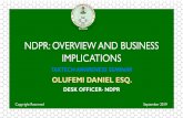 NDPR: OVERVIEW AND BUSINESS IMPLICATIONS