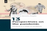Perspectives on the pandemic - De Gruyter Conversations
