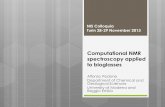 Computational NMR spectroscopy applied to bioglasses